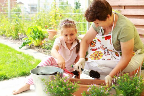 Maintaining a wooden deck