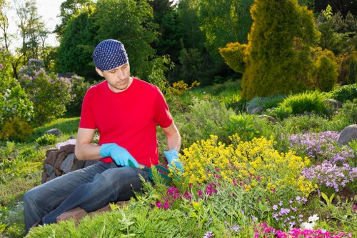 Selection of popular plants for landscape gardening in Woolwich