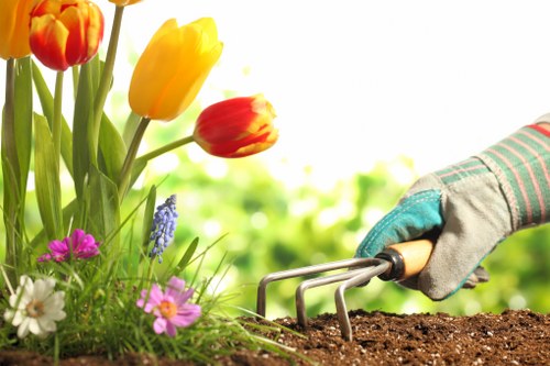 Eco-friendly lawn mowing equipment