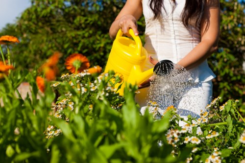 Professional garden clearance in action